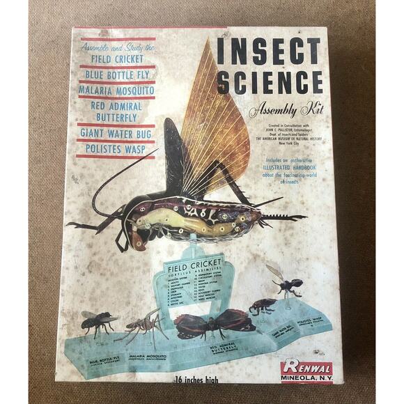 Vintage Model Toy Renwal Insect Science Assembly Kit Field Cricket Fly Butterfly - Picture 1 of 16